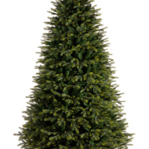 CASHMERE SPRUCE PE